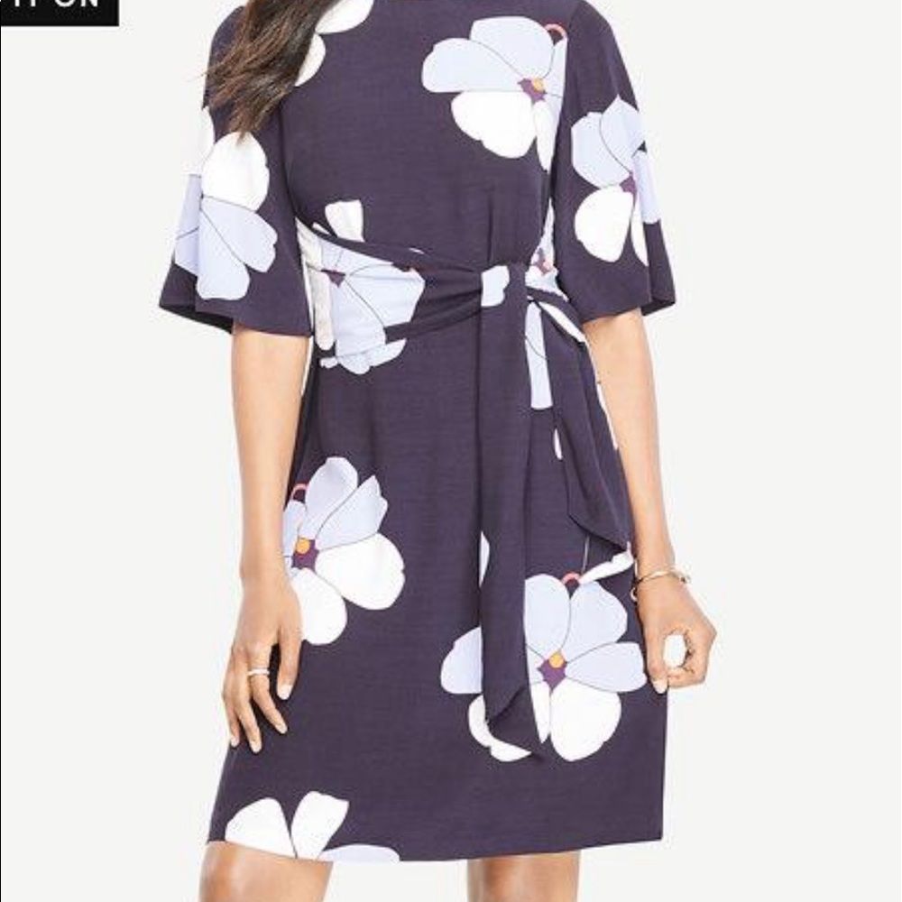 Ann Taylor Orchard Tie Front Dress in Navy
